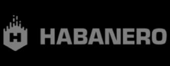 Jacks or Better 1 Hand